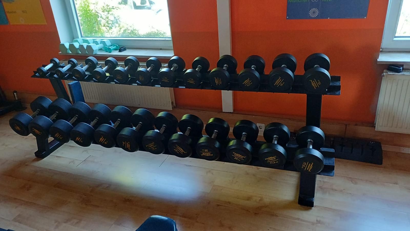 Heller Kurzhantelbereich mit Hantelablage und Tageslicht im Sportsclub Bovenden